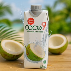 COCO9 100% Coconut Water 250ML X 24 (TETRA)