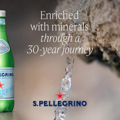SAN PELLEGRINO Sparkling Mineral Water 500ML X 24 (GLASS)