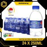 CACTUS Natural Mineral Water 250ML x 24 (BOTTLES) - ABSOLUTE MARTCACTUS Natural Mineral Water 250ML x 24 (BOTTLES)