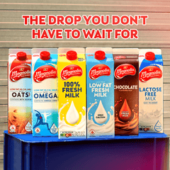 F&N MAGNOLIA LOW FAT FRESH MILK 1L X 12 (TETRA) - ABSOLUTE MARTF&N MAGNOLIA LOW FAT FRESH MILK 1L X 12 (TETRA)