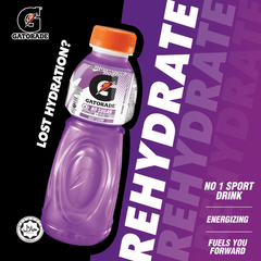 GATORADE Quiet Storm 515ML X 24 (BOTTLES) - ABSOLUTE MARTGATORADE Quiet Storm 515ML X 24 (BOTTLES)Isotonic Drinks