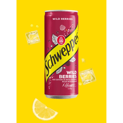 SCHWEPPES Wild Berries 330ML X 24 (CAN) - ABSOLUTE MARTSCHWEPPES Wild Berries 330ML X 24 (CAN)Cola & Classic Sodas