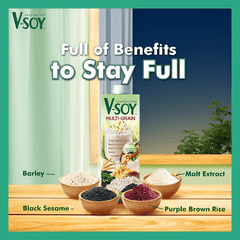 V-SOY Milk Multi Grain 200ML X 48 (TETRA) - ABSOLUTE MARTV-SOY Milk Multi Grain 200ML X 48 (TETRA)Soy & Almond Milk