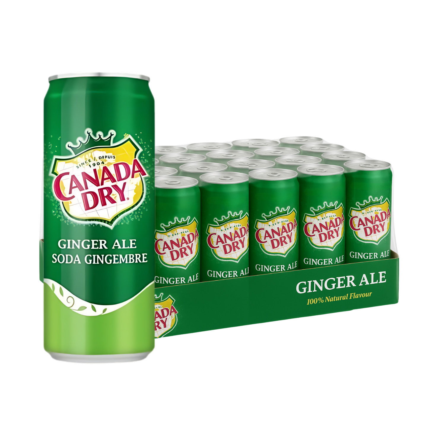 CANADA DRY Ginger Ale 330ML X 24 (CAN)