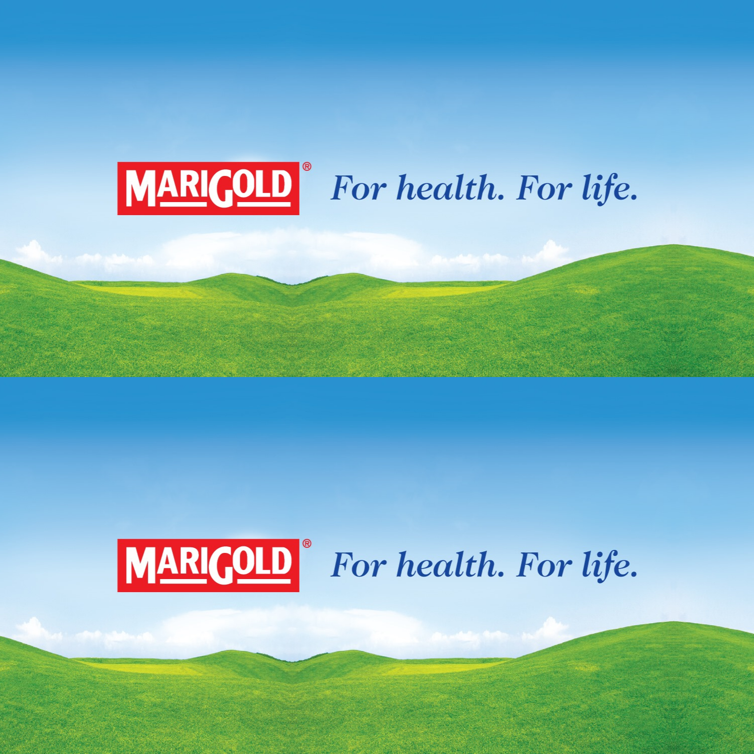 MARIGOLD 100% Apple Juice 1L X 12 (TETRA)