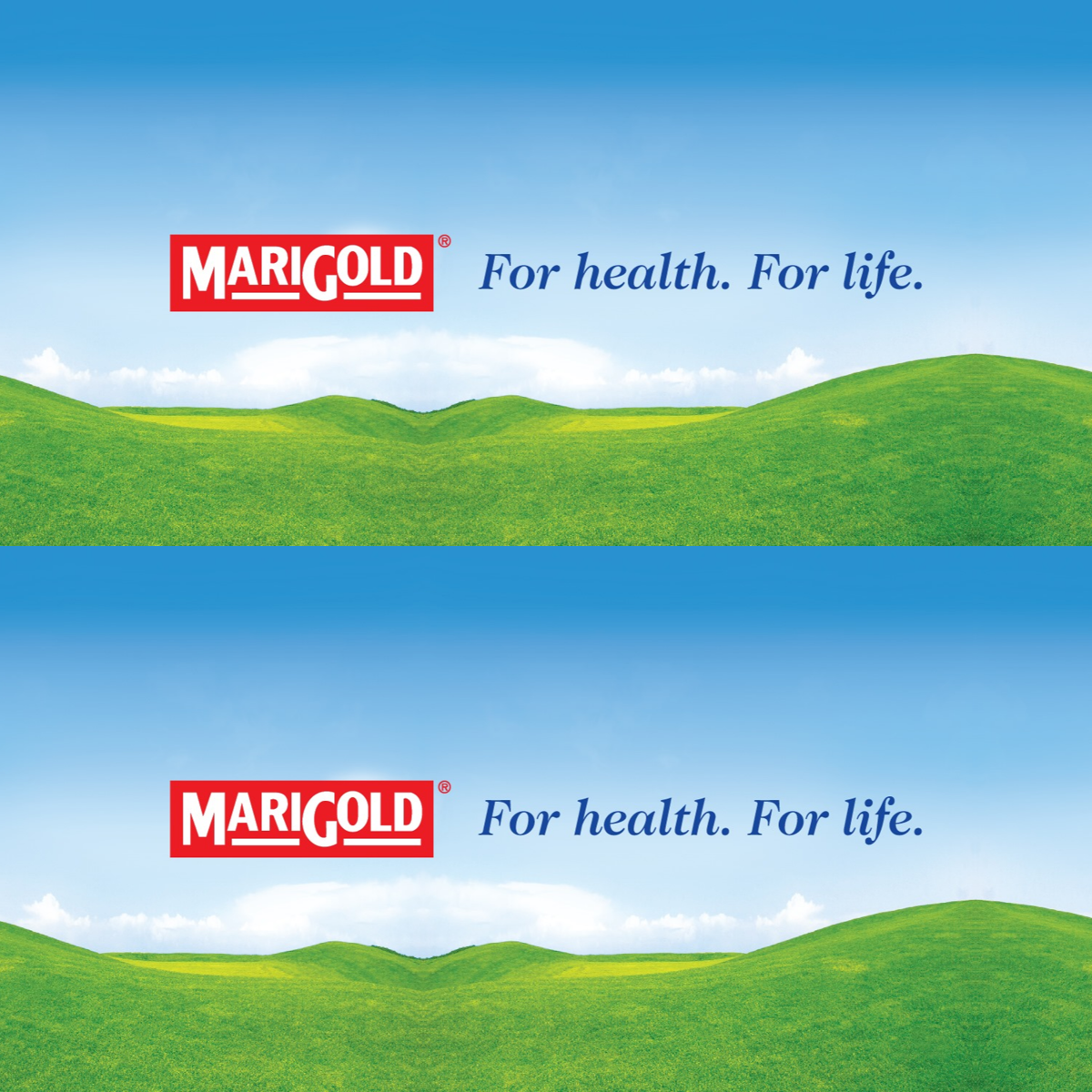 MARIGOLD 100% Orange Sunrise Mixed Fruit Juice 200ML X 24 (TETRA)