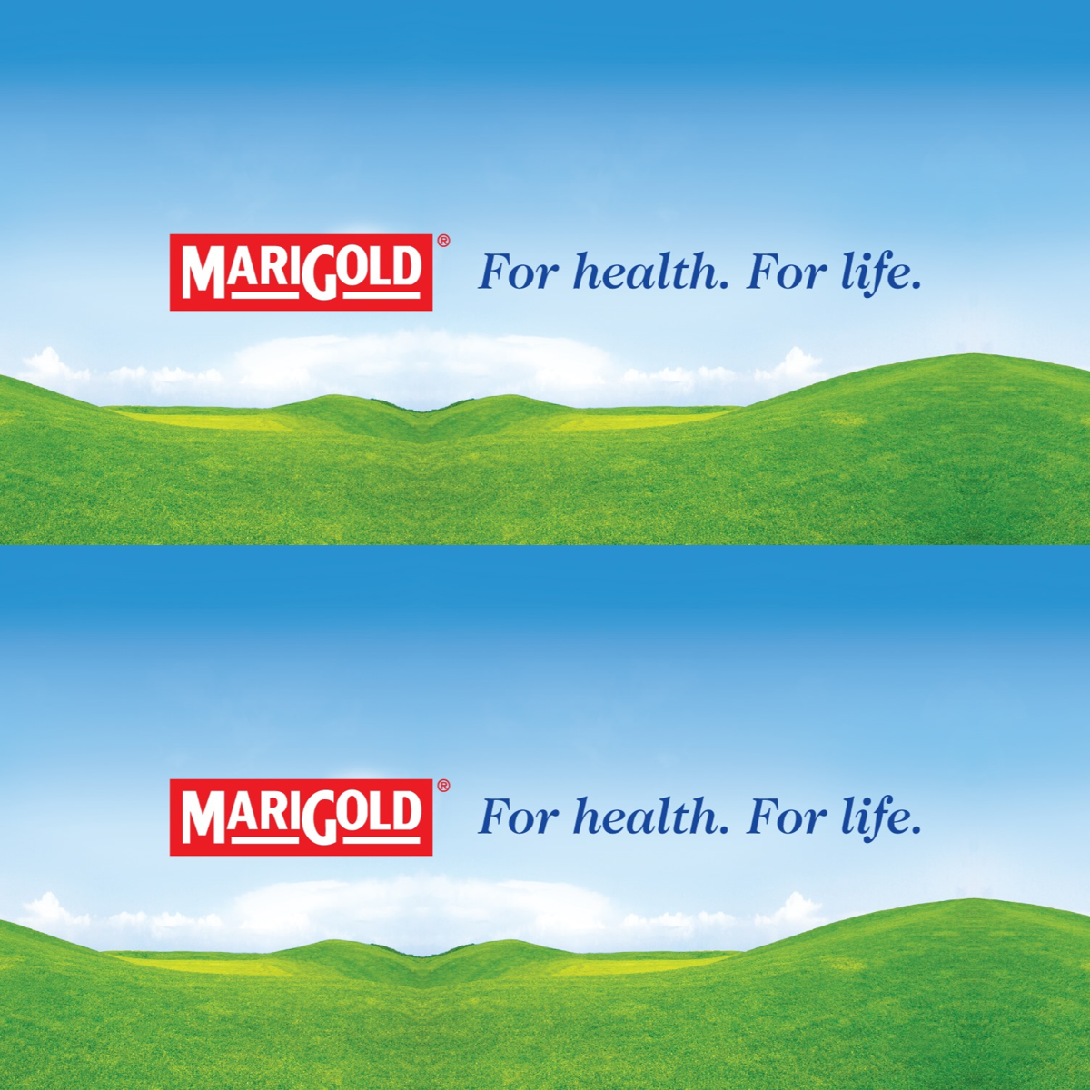 MARIGOLD 100% Tropical Fruit Juice 200ML X 24 (TETRA)
