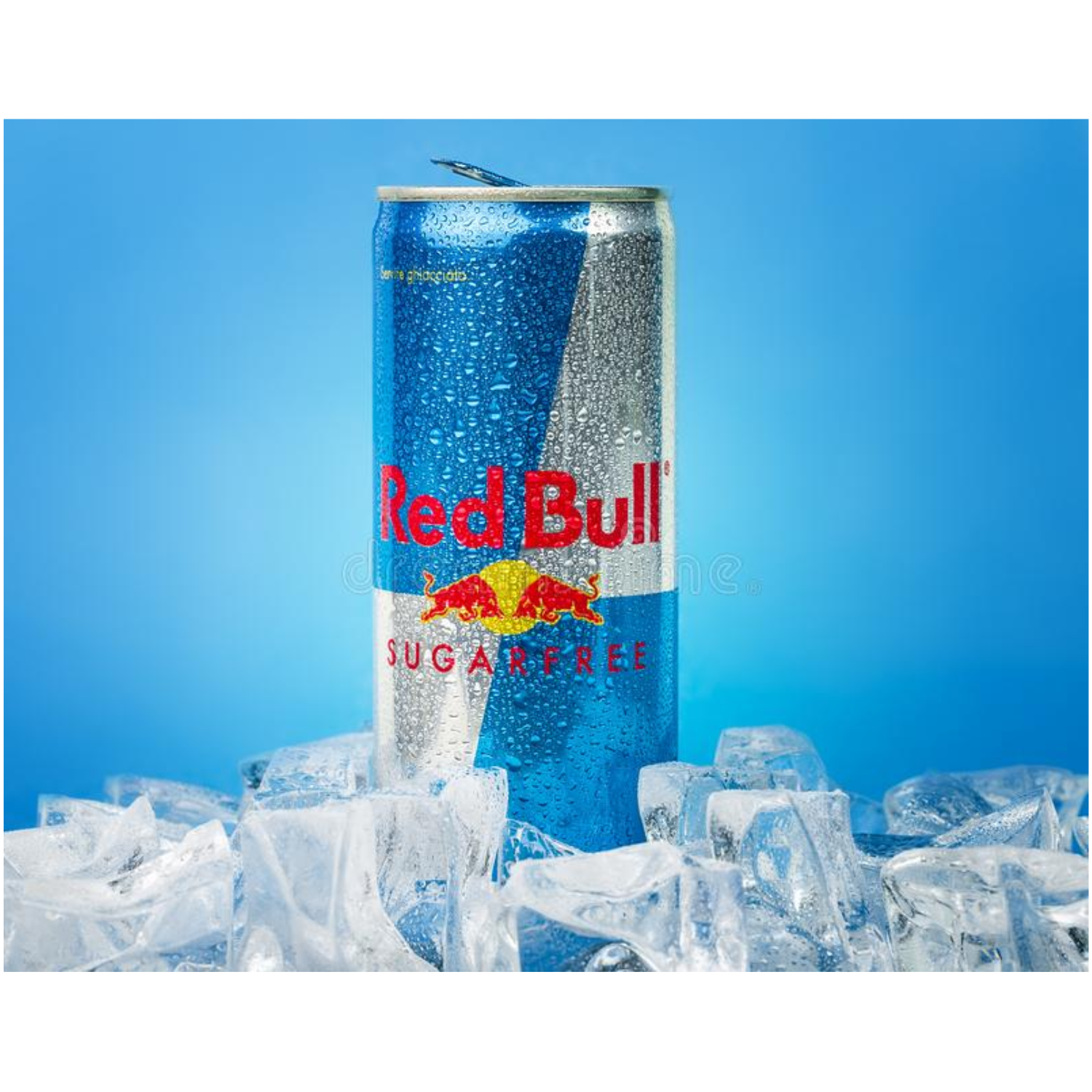 [CARTON] REDBULL SUGAR FREE 250ML X 24 (CAN)