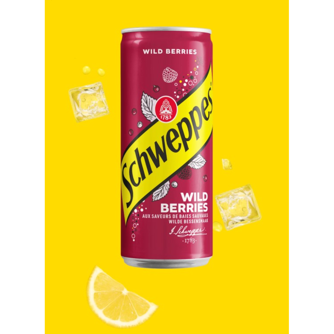 [CARTON] SCHWEPPES Wild Berries 330ML X 24 (CAN)