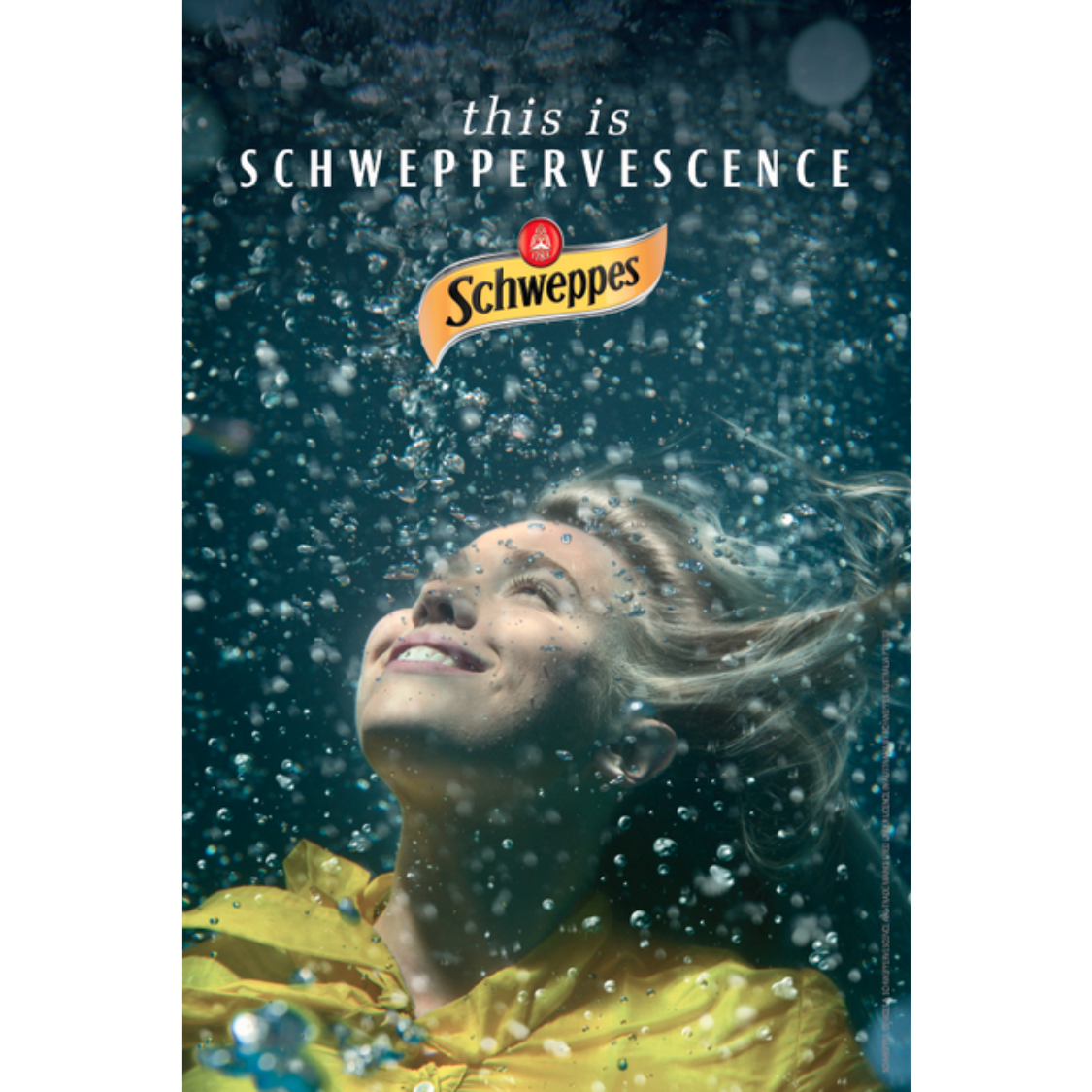 [CARTON] SCHWEPPES Wild Berries 330ML X 24 (CAN)