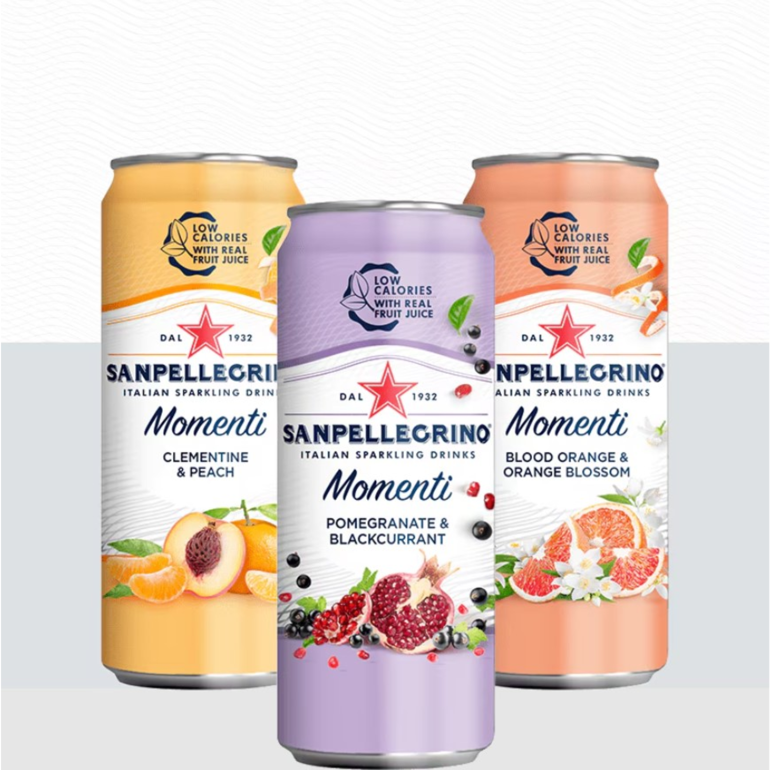 [CARTON] SAN PELLEGRINO MOMENTI LEMON & RASPBERRY 330ML X 24 (CAN)