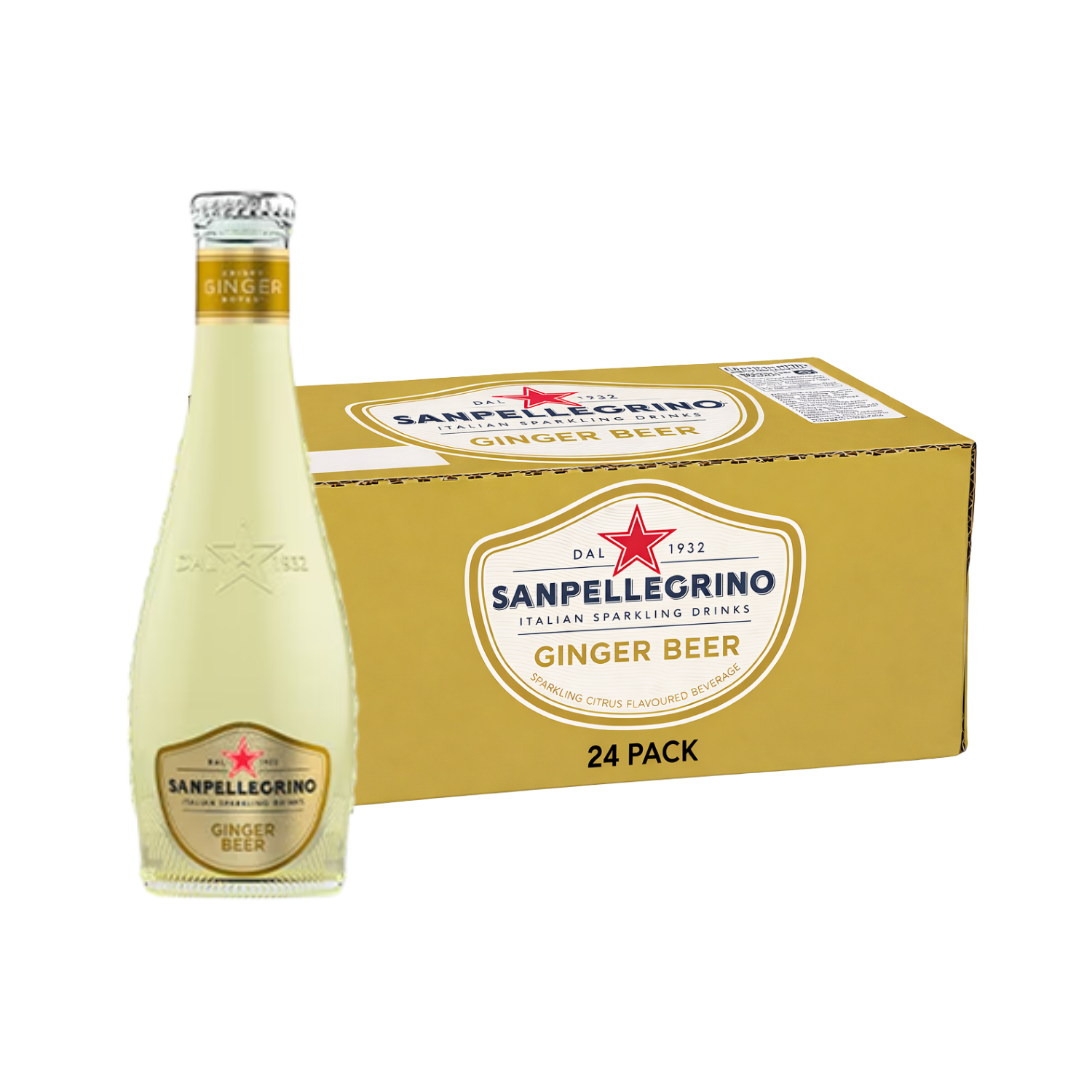 SAN PELLEGRINO Ginger Beer 200ML X 24 (GLASS)