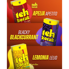 TEH KOTAK Lemon Tea 300ML X 24 (TETRA)