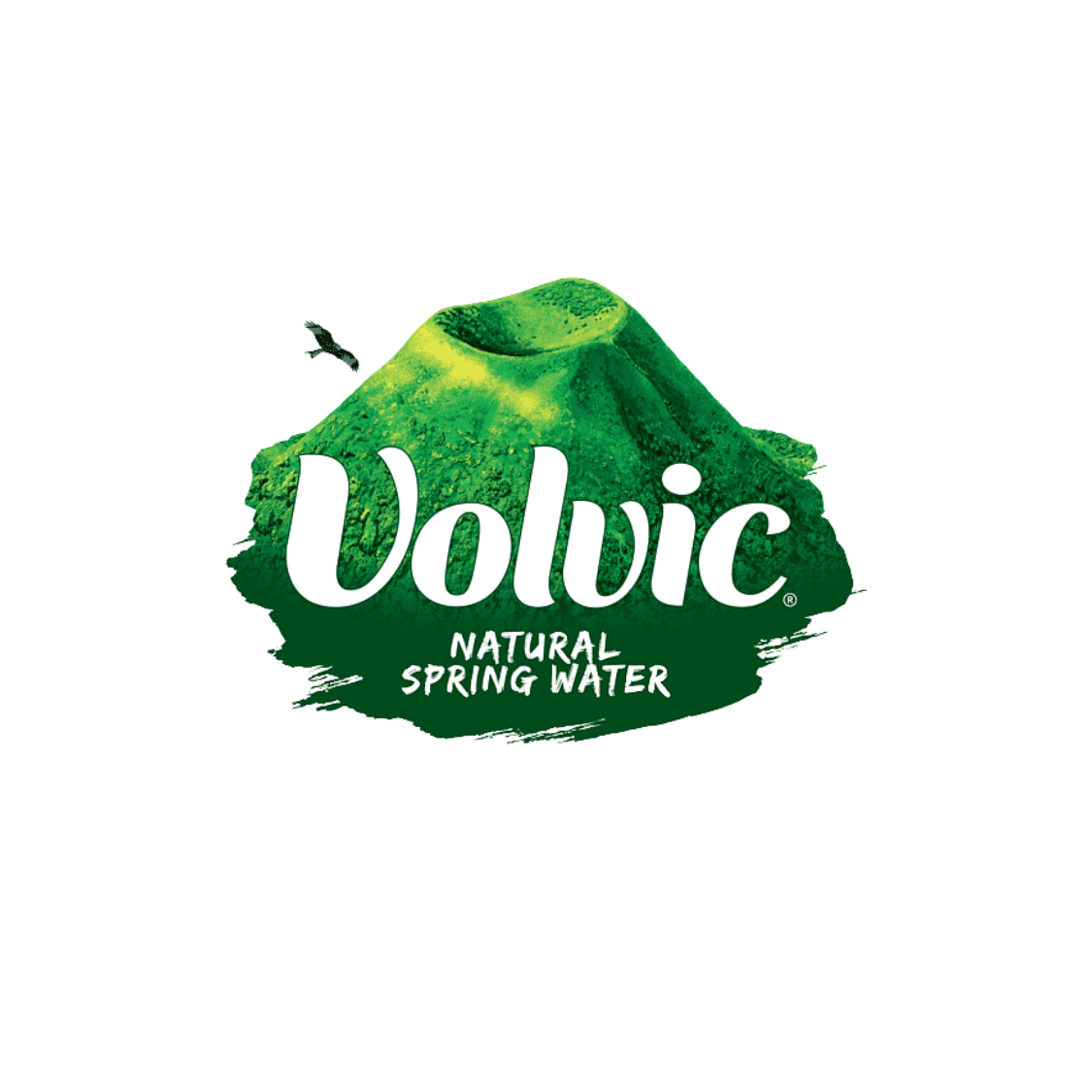 VOLVIC Watermelon Sugar Free 500ML X 12 (BOTTLE)