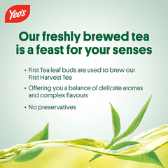 [BCRS] YEO'S First Harvest Green Tea 300ML X 24 (CAN) - ABSOLUTE MART[BCRS] YEO'S First Harvest Green Tea 300ML X 24 (CAN)Flavoured & Milk Tea