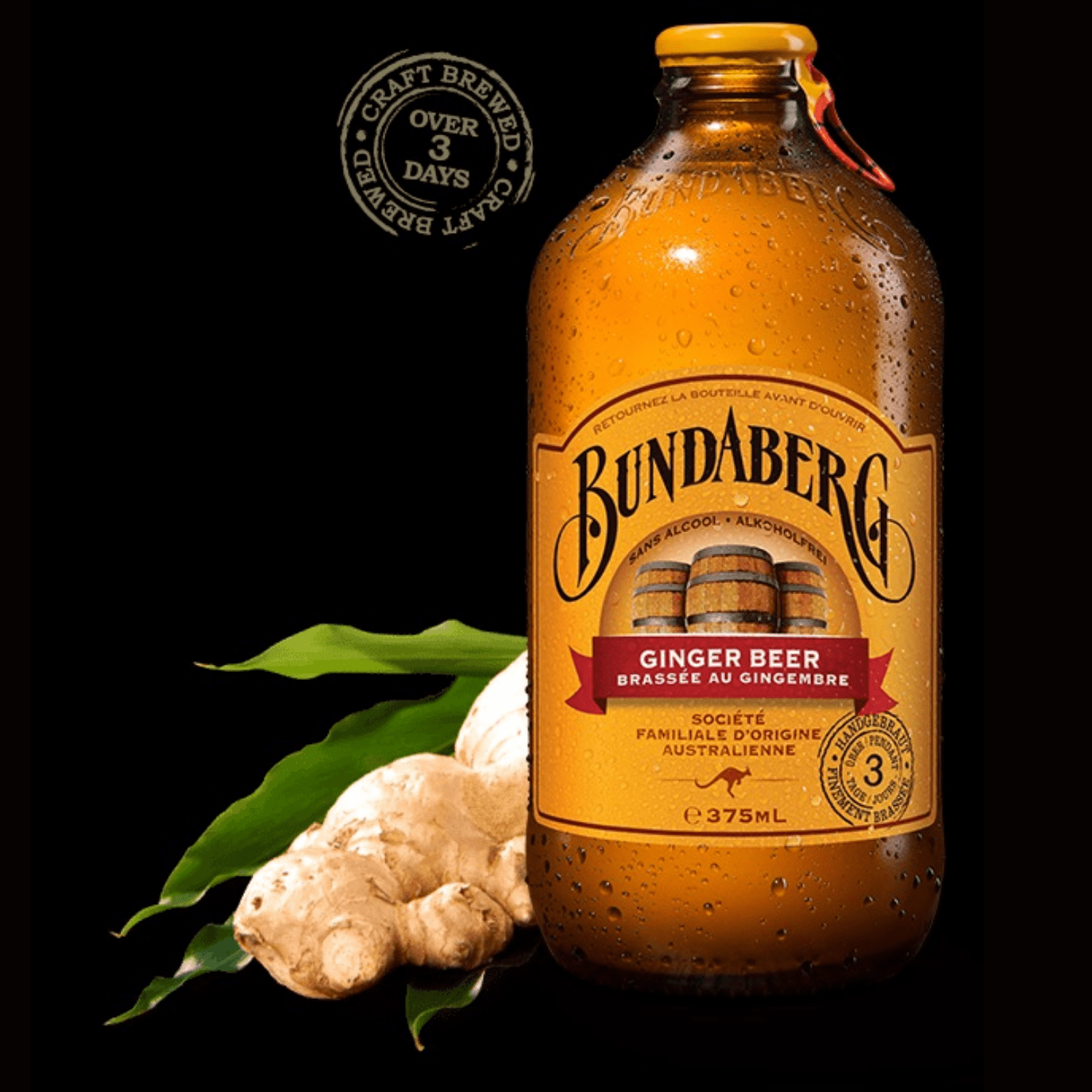 BUNDABERG Ginger Beer 375ML X 24 (GLASS BOTTLE) - ABSOLUTE MARTBUNDABERG Ginger Beer 375ML X 24 (GLASS BOTTLE)Cola & Classic Sodas