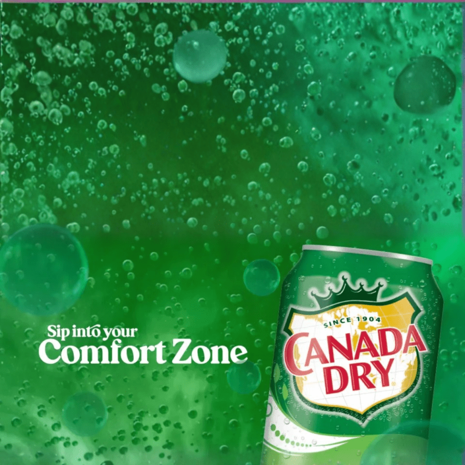 CANADA DRY Ginger Ale 275ML X 12 (GLASS) - ABSOLUTE MARTCANADA DRY Ginger Ale 275ML X 12 (GLASS)Tonic & Mixers