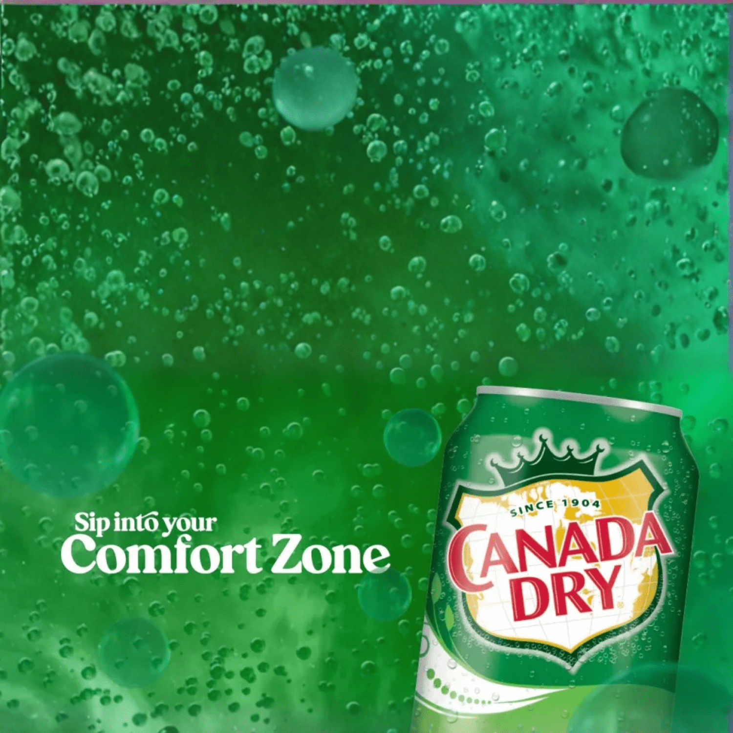 CANADA DRY Ginger Ale 330ML X 24 (CAN) - ABSOLUTE MARTCANADA DRY Ginger Ale 330ML X 24 (CAN)Cola & Classic Sodas
