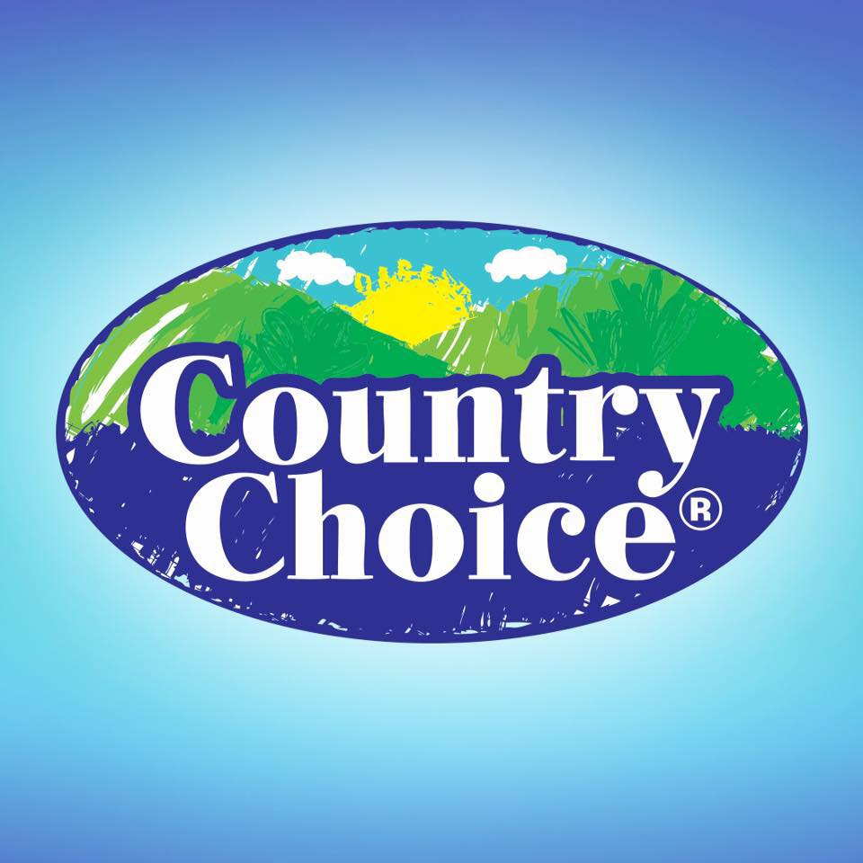 COUNTRY CHOICE Fruit Juice Drink Mango 1L x 12 (TETRA) - ABSOLUTE MARTCOUNTRY CHOICE Fruit Juice Drink Mango 1L x 12 (TETRA)