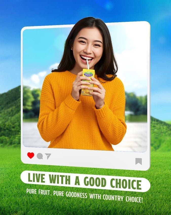 COUNTRY CHOICE Fruit Juice Drink Mango 1L x 12 (TETRA) - ABSOLUTE MARTCOUNTRY CHOICE Fruit Juice Drink Mango 1L x 12 (TETRA)
