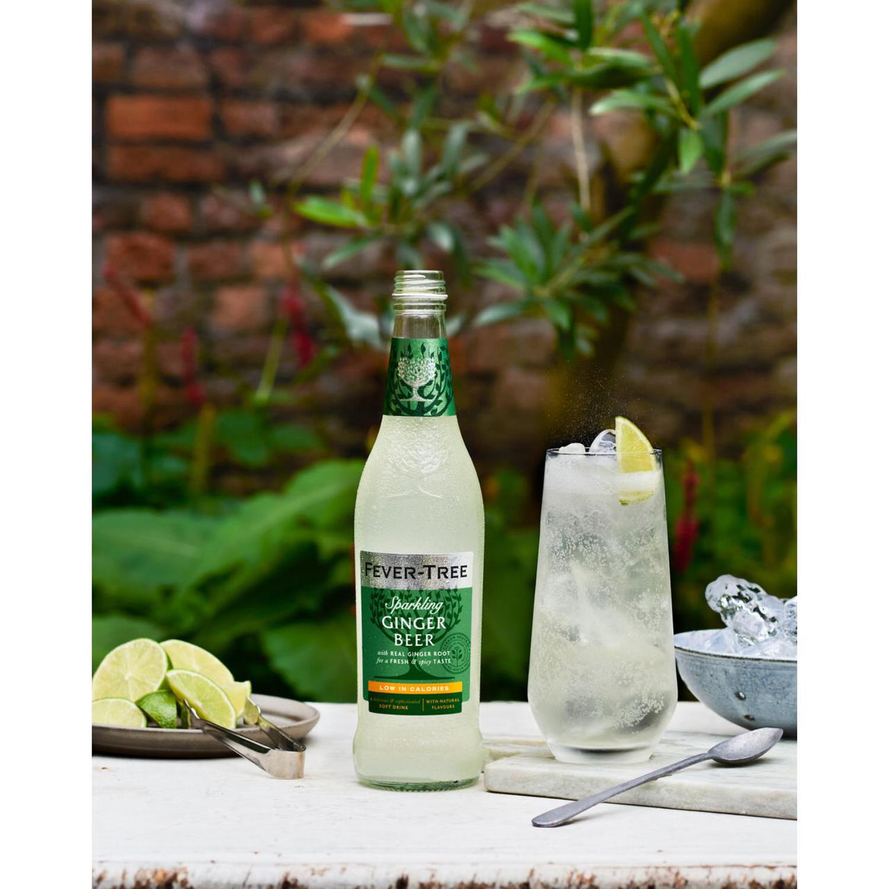 FEVER TREE Sparkling Ginger Beer 500ML X 8 (GLASS) - ABSOLUTE MARTFEVER TREE Sparkling Ginger Beer 500ML X 8 (GLASS)