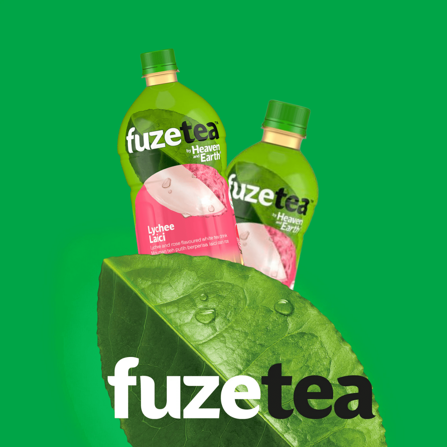 H&E Fuze Lychee Rose Tea 500ML X 24 (BOTTLE) - ABSOLUTE MARTH&E Fuze Lychee Rose Tea 500ML X 24 (BOTTLE)Flavoured & Milk Tea