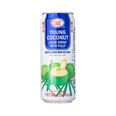 ICE COOL Coconut 500ML X 24 (CAN) - ABSOLUTE MARTICE COOL Coconut 500ML X 24 (CAN)Coconut Water
