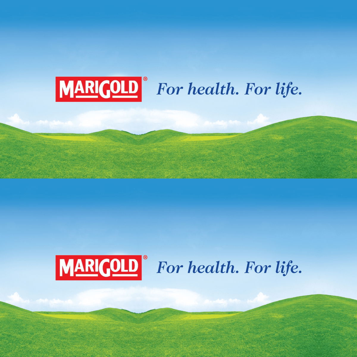 MARIGOLD 100% Apple Juice 200ML X 24 (TETRA) - ABSOLUTE MARTMARIGOLD 100% Apple Juice 200ML X 24 (TETRA)Juices
