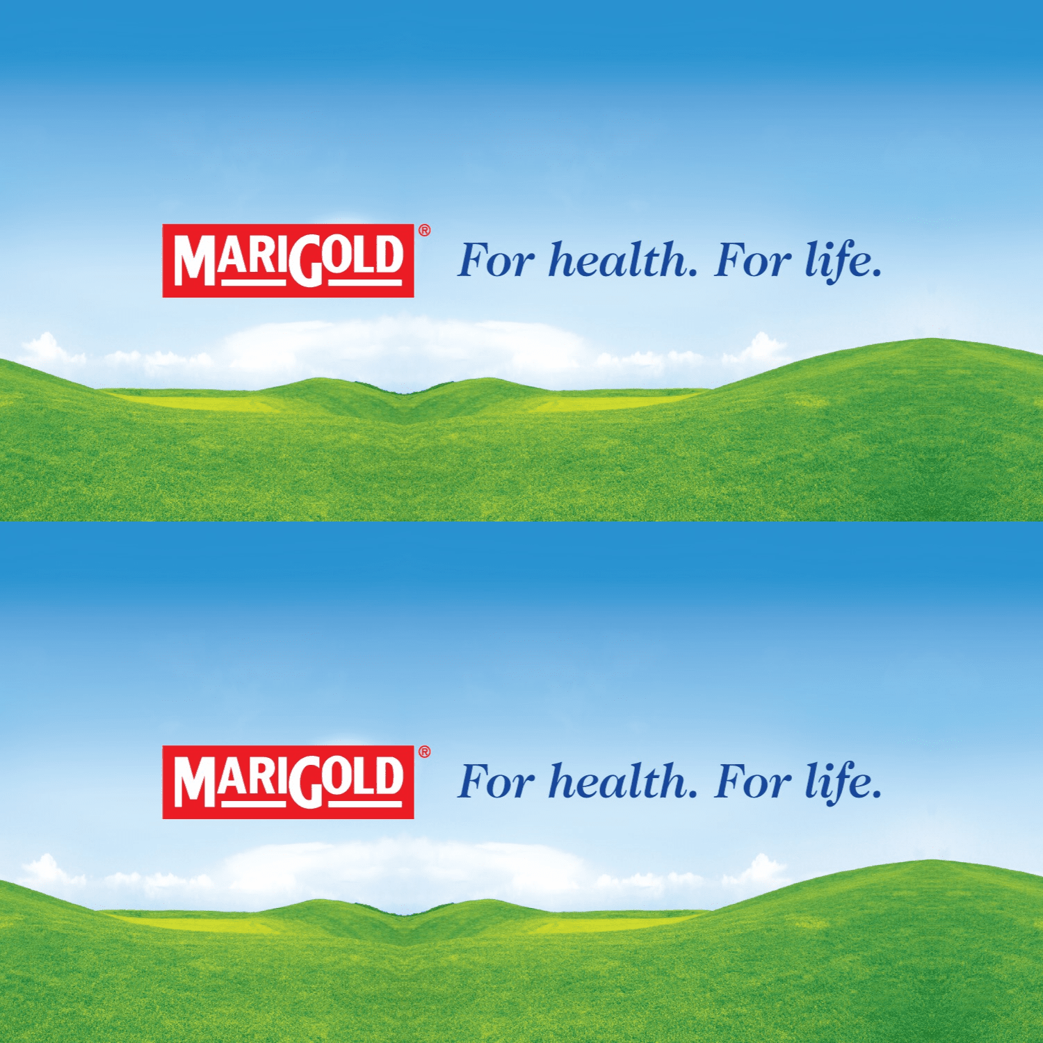 MARIGOLD 100% Orange Juice 200ML X 24 (TETRA) - ABSOLUTE MARTMARIGOLD 100% Orange Juice 200ML X 24 (TETRA)Juices