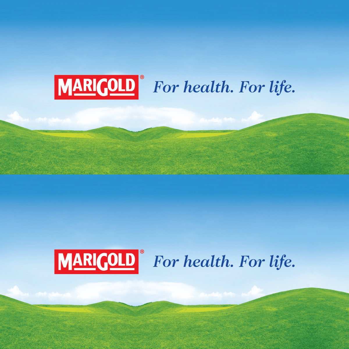 MARIGOLD 100% Orange Sunrise Mixed Fruit Juice 1L X 12 (TETRA) - ABSOLUTE MARTMARIGOLD 100% Orange Sunrise Mixed Fruit Juice 1L X 12 (TETRA)Juices