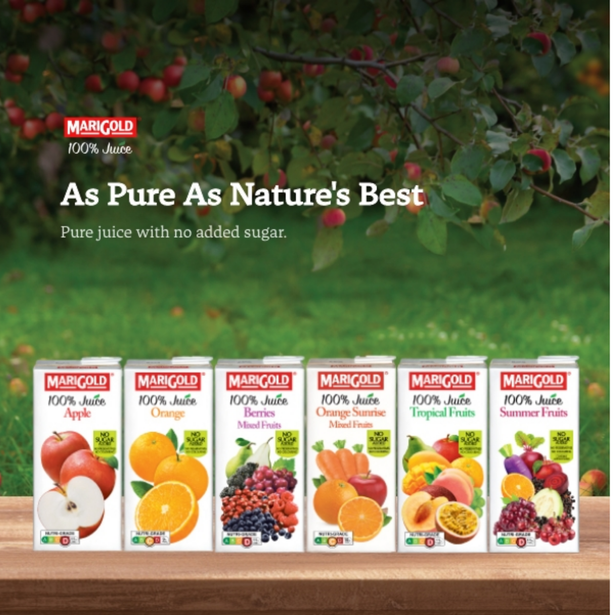 MARIGOLD 100% Orange Sunrise Mixed Fruit Juice 200ML X 24 (TETRA) - ABSOLUTE MARTMARIGOLD 100% Orange Sunrise Mixed Fruit Juice 200ML X 24 (TETRA)Juices