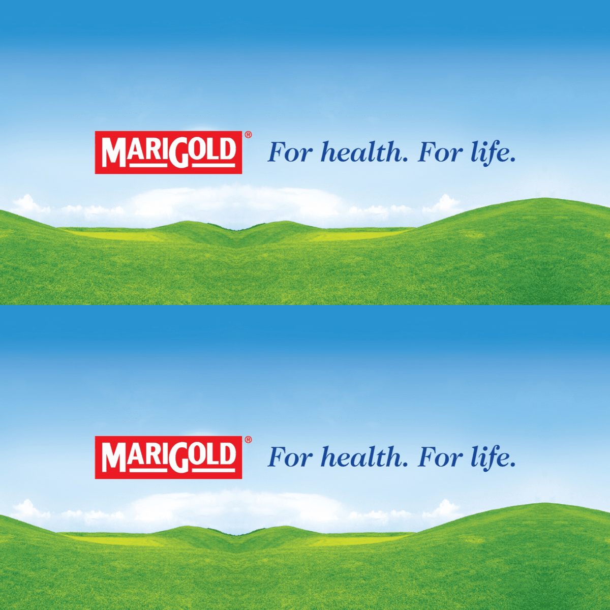 MARIGOLD 100% Tropical Fruit 1L X 12 (TETRA) - ABSOLUTE MARTMARIGOLD 100% Tropical Fruit 1L X 12 (TETRA)Juices