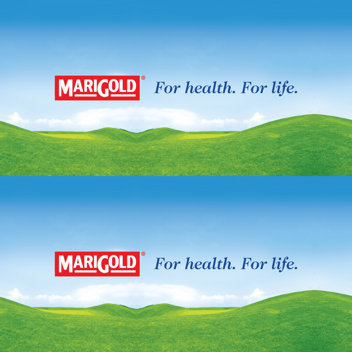 MARIGOLD 100% Tropical Fruit Juice 200ML X 24 (TETRA) - ABSOLUTE MARTMARIGOLD 100% Tropical Fruit Juice 200ML X 24 (TETRA)Juices