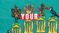 MONSTER RIO PUNCH 500ML X 12 (CAN) - ABSOLUTE MARTMONSTER RIO PUNCH 500ML X 12 (CAN)