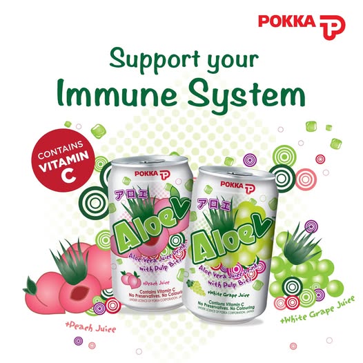 POKKA Aloe Vera Grape 300ML X 24 (CAN) - ABSOLUTE MARTPOKKA Aloe Vera Grape 300ML X 24 (CAN)Fruit Drinks