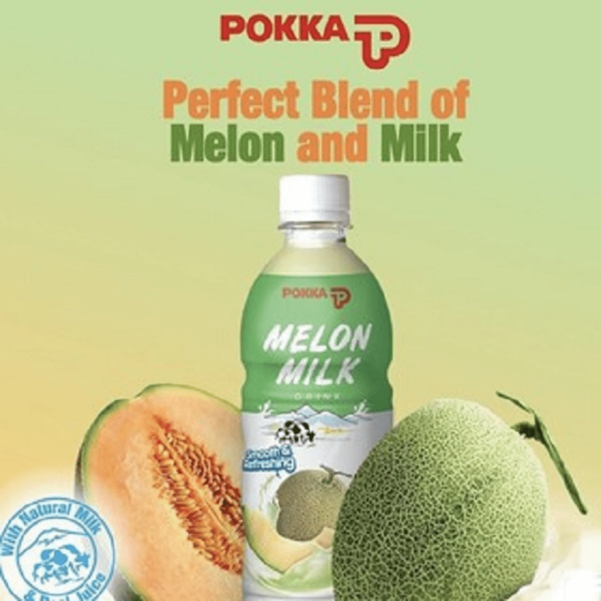 POKKA Melon Milk 500ML X 24 (BOTTLE) - ABSOLUTE MARTPOKKA Melon Milk 500ML X 24 (BOTTLE)Flavoured & Milk Tea