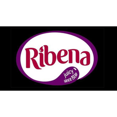 RIBENA Blackcurrant 350ML X 24 (BOTTLE) - ABSOLUTE MARTRIBENA Blackcurrant 350ML X 24 (BOTTLE)Fruit Drinks