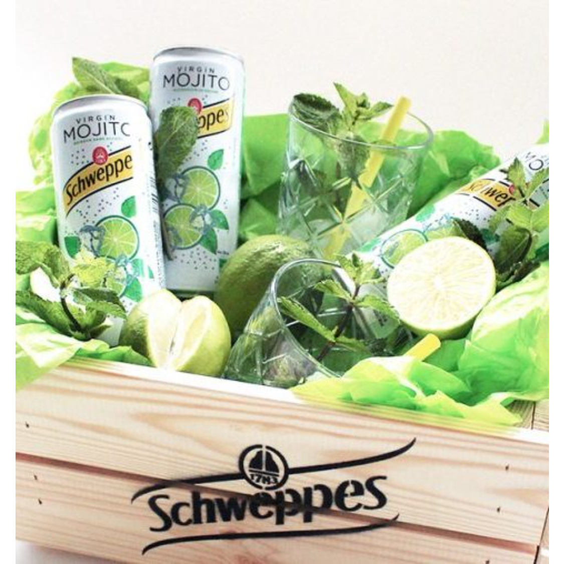 SCHWEPPES Mojito Europe 330ML X 24 (CAN) - ABSOLUTE MARTSCHWEPPES Mojito Europe 330ML X 24 (CAN)Cola & Classic Sodas