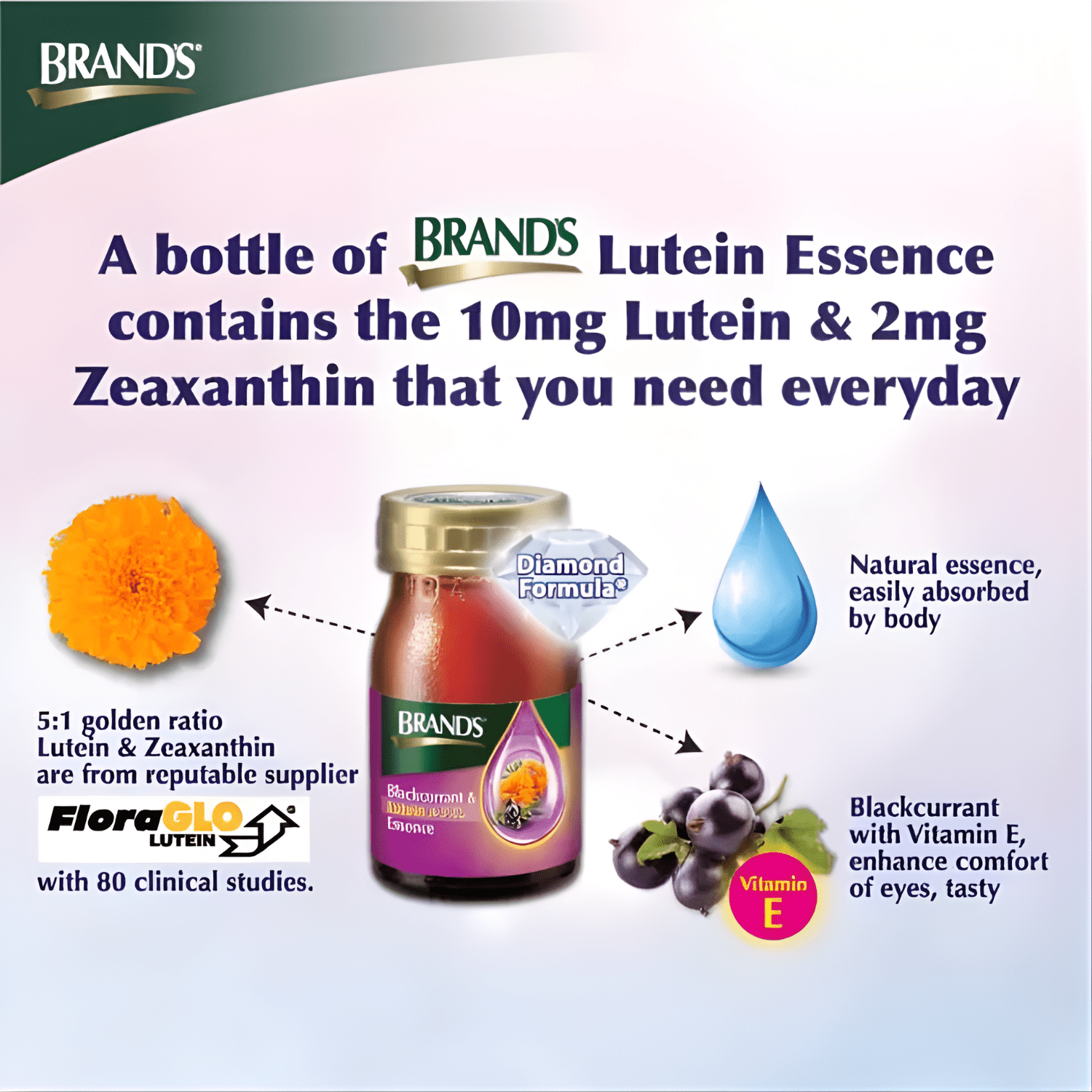 [TRIPLE PACK] BRAND'S Lutein Essence 60ML X 6 X 3 Pack (GLASS) - ABSOLUTE MART[TRIPLE PACK] BRAND'S Lutein Essence 60ML X 6 X 3 Pack (GLASS)Brands Essence