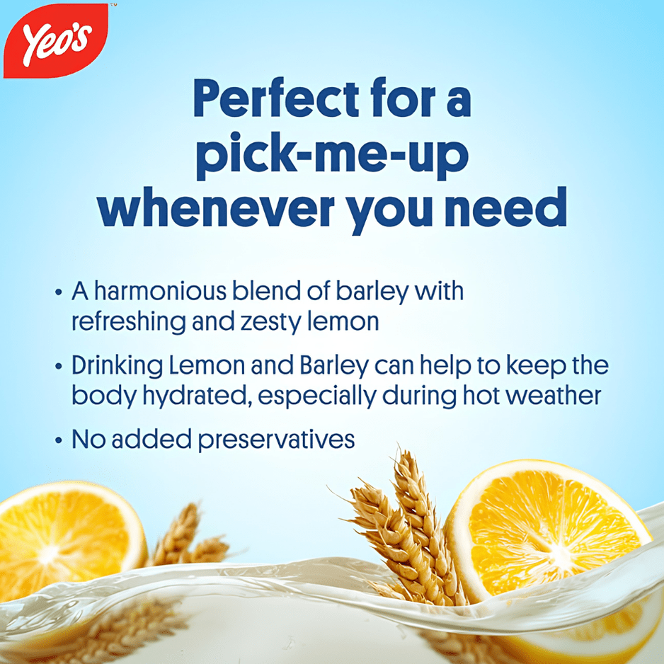 YEO'S Lemon Barley 250ML X 24 (TETRA) - ABSOLUTE MARTYEO'S Lemon Barley 250ML X 24 (TETRA)Fruit Drinks